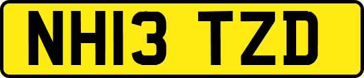NH13TZD