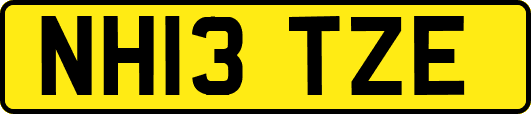 NH13TZE