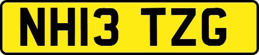 NH13TZG