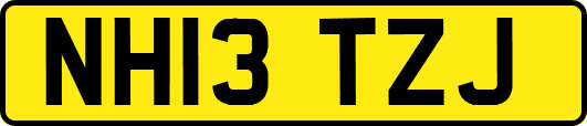 NH13TZJ