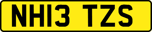 NH13TZS