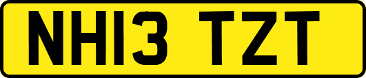 NH13TZT