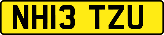 NH13TZU