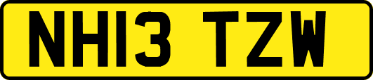 NH13TZW
