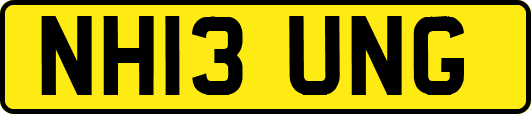 NH13UNG