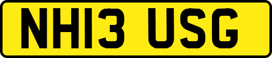 NH13USG