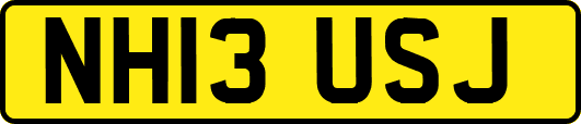 NH13USJ