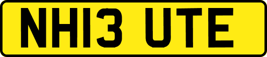 NH13UTE