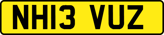 NH13VUZ