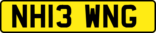 NH13WNG