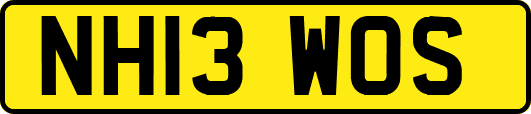 NH13WOS