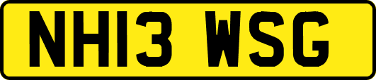 NH13WSG