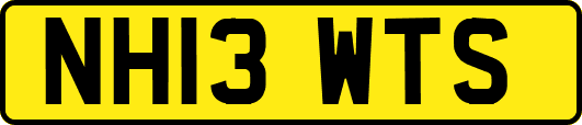 NH13WTS
