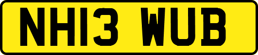 NH13WUB