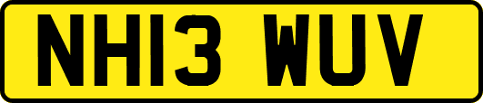 NH13WUV