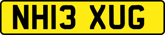 NH13XUG