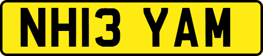 NH13YAM