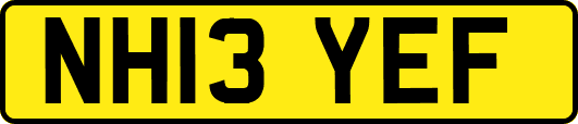 NH13YEF