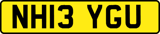 NH13YGU