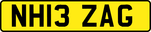 NH13ZAG