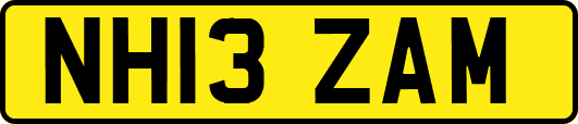 NH13ZAM