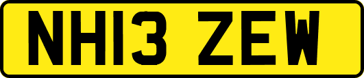 NH13ZEW