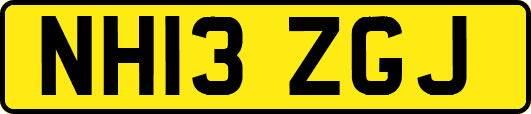 NH13ZGJ