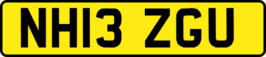 NH13ZGU