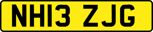 NH13ZJG