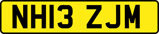 NH13ZJM