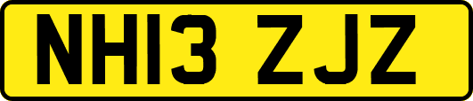 NH13ZJZ