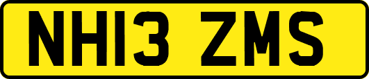NH13ZMS