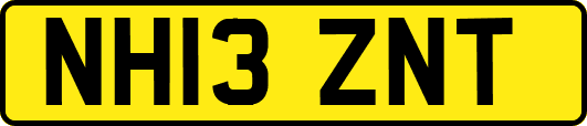 NH13ZNT