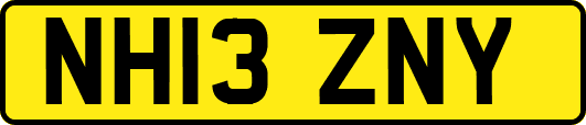 NH13ZNY