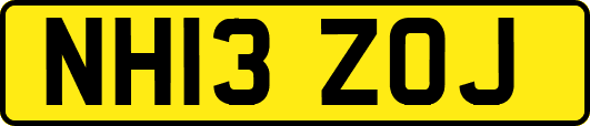 NH13ZOJ