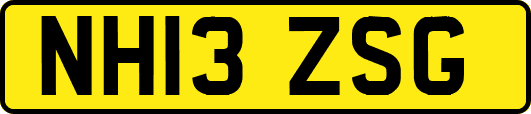 NH13ZSG