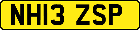 NH13ZSP
