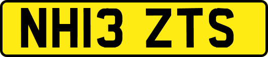 NH13ZTS