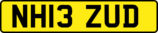 NH13ZUD