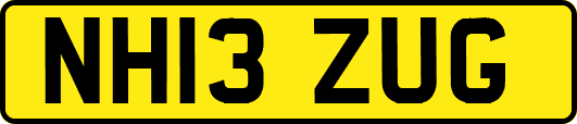 NH13ZUG