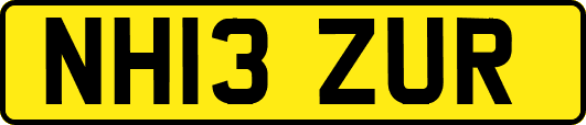 NH13ZUR