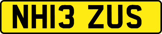 NH13ZUS