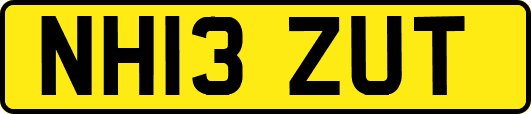 NH13ZUT
