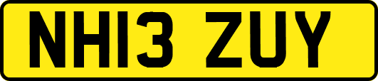 NH13ZUY