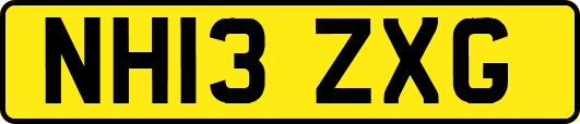 NH13ZXG