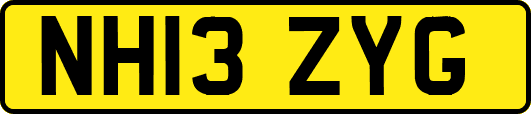 NH13ZYG