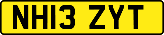 NH13ZYT