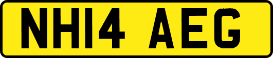 NH14AEG