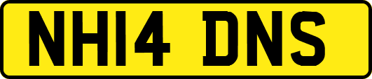 NH14DNS