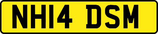 NH14DSM